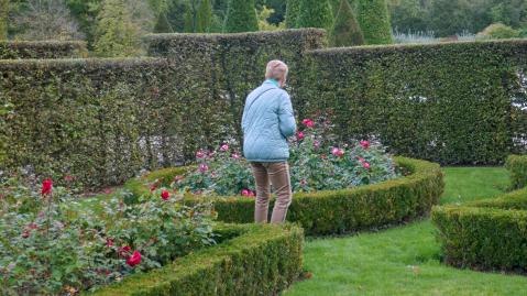 Uitstapje Arcen 2024P1030316