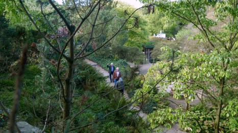 Uitstapje Arcen 2024P1030344