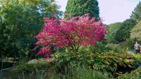 Uitstapje Arcen 2024P1030350
