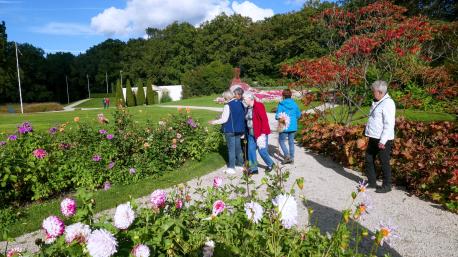 Uitstapje Arcen 2024P1030363