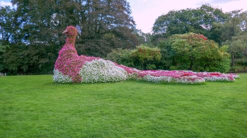 Uitstapje Arcen 2024P1030365