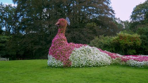 Uitstapje Arcen 2024P1030366